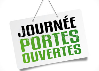la-foret-est-peut-etre-en-toi